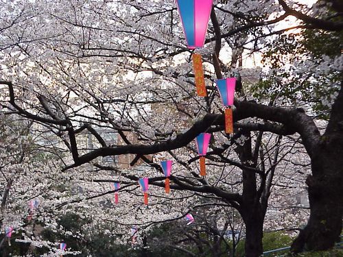 Lanterns and strips in a cherry blossom festival. 2