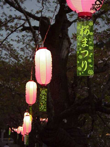 Festival Lanterns