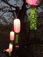 Festival lanterns and strips