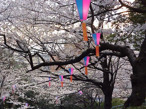 桜まつりの風景2